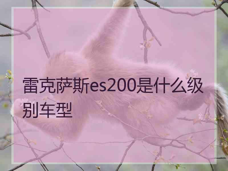 雷克萨斯es200是什么级别车型