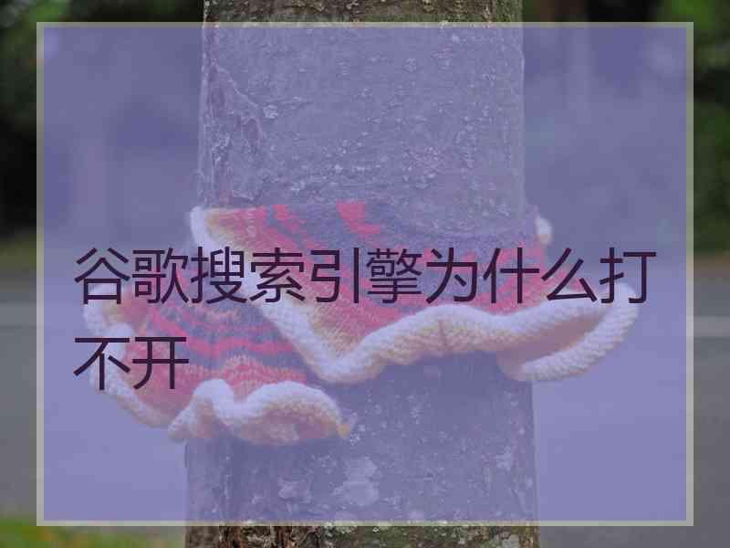 谷歌搜索引擎为什么打不开