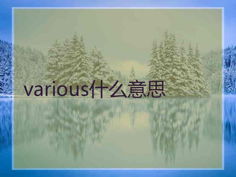 various什么意思