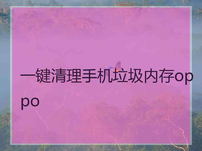 一键清理手机垃圾内存oppo