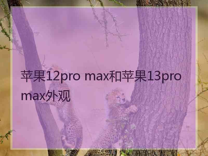 苹果12pro max和苹果13promax外观