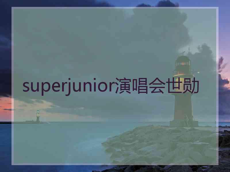 superjunior演唱会世勋