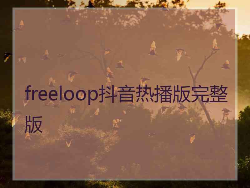 freeloop抖音热播版完整版