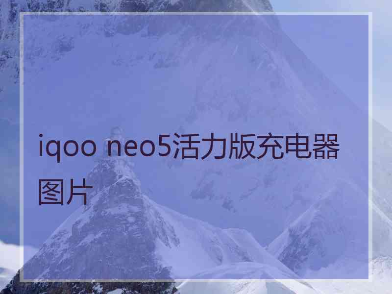 iqoo neo5活力版充电器图片