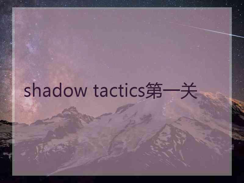shadow tactics第一关