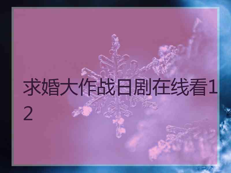 求婚大作战日剧在线看12