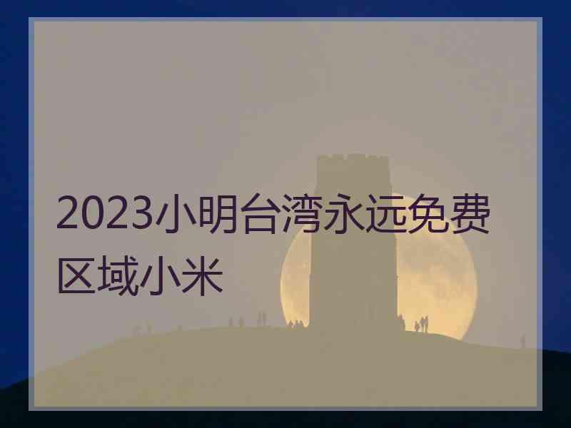 2023小明台湾永远免费区域小米