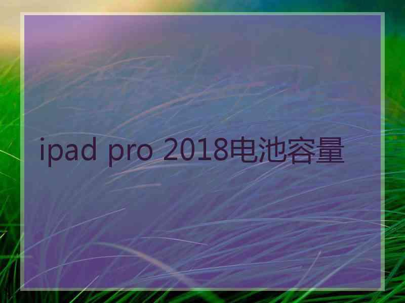 ipad pro 2018电池容量