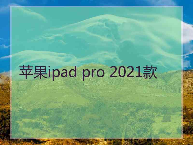 苹果ipad pro 2021款