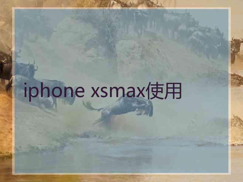 iphone xsmax使用