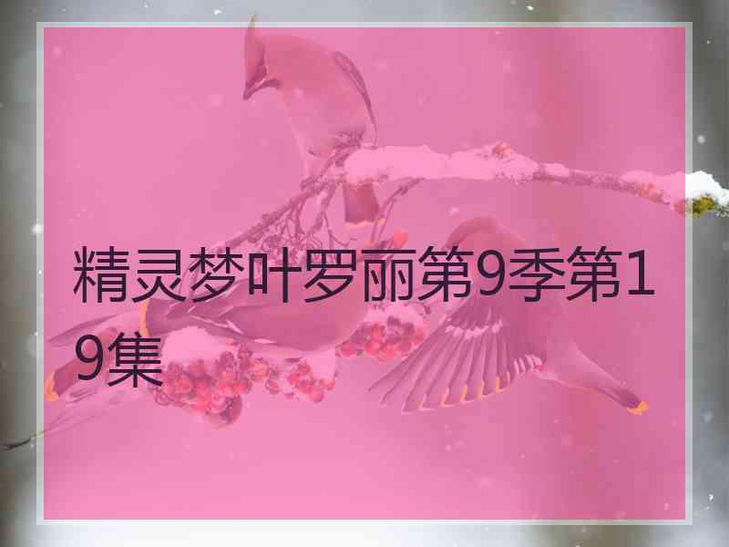 精灵梦叶罗丽第9季第19集