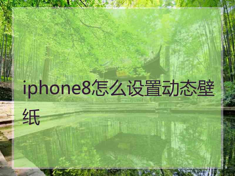 iphone8怎么设置动态壁纸