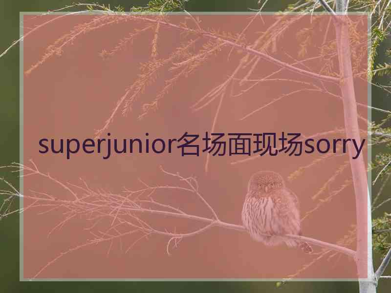 superjunior名场面现场sorry