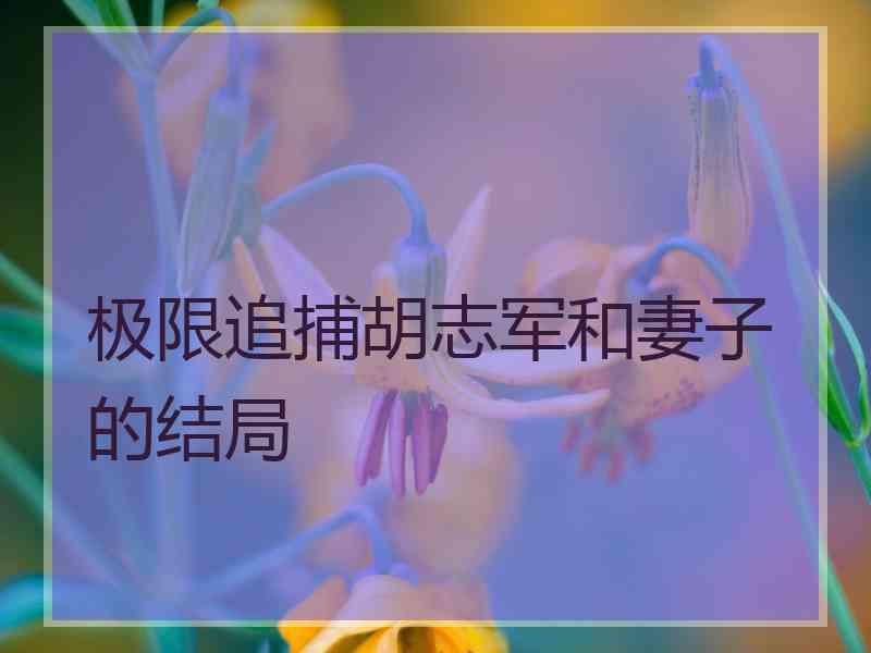 极限追捕胡志军和妻子的结局