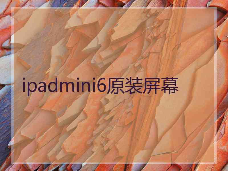 ipadmini6原装屏幕