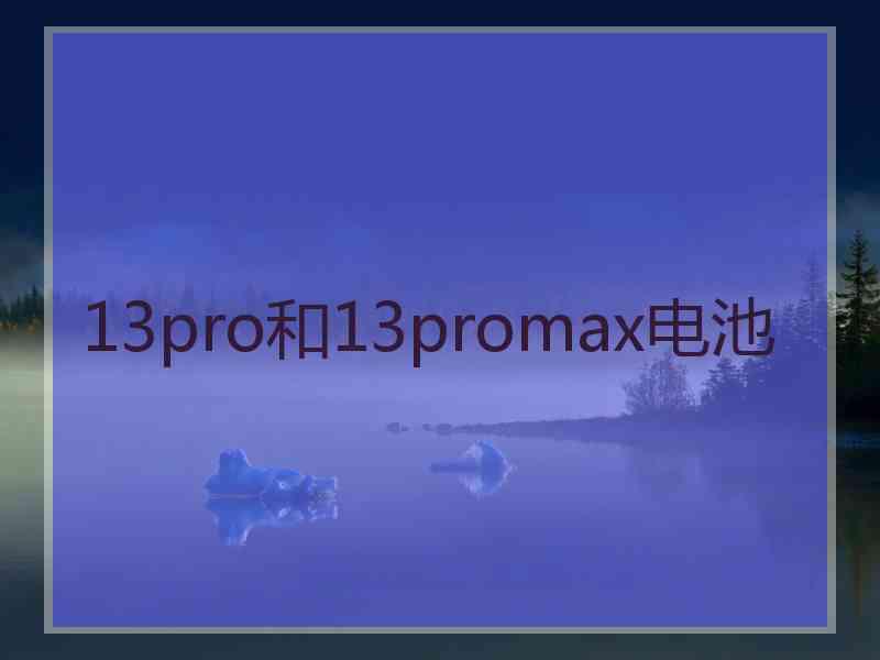 13pro和13promax电池