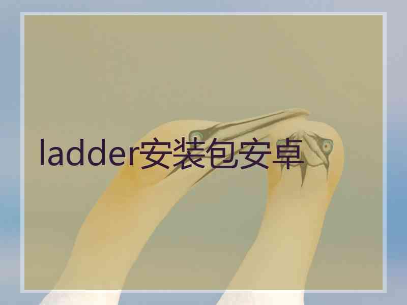 ladder安装包安卓