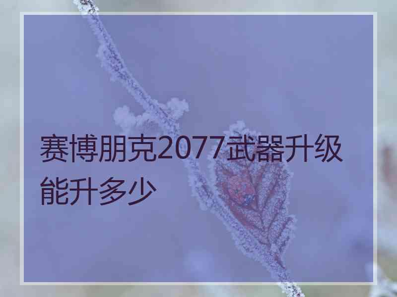 赛博朋克2077武器升级能升多少