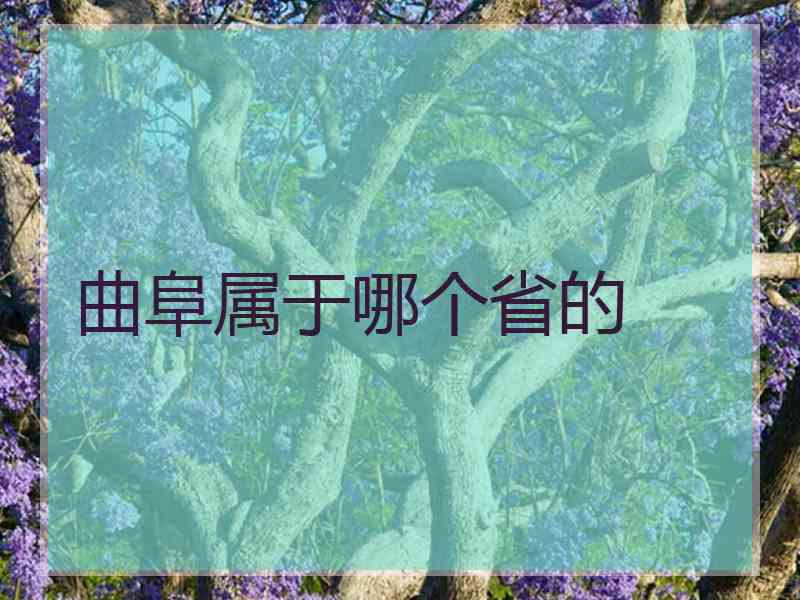 曲阜属于哪个省的