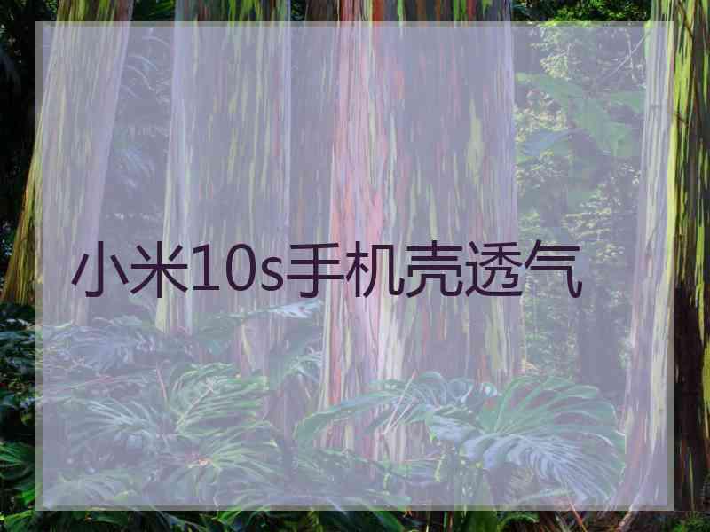 小米10s手机壳透气