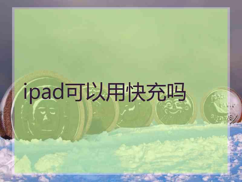 ipad可以用快充吗