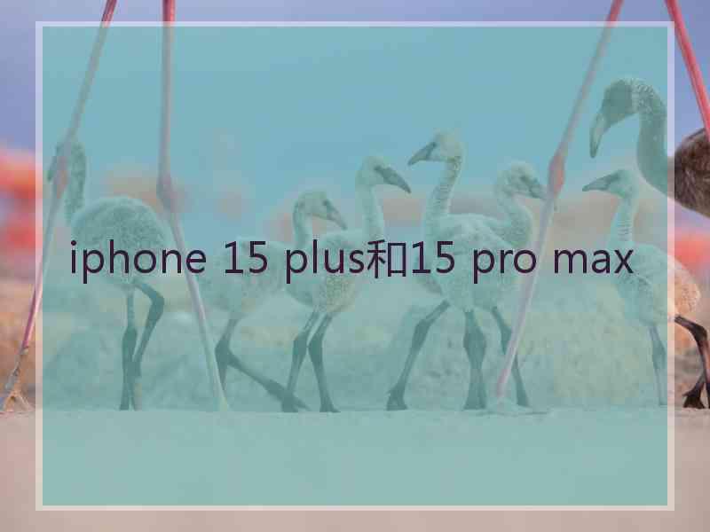 iphone 15 plus和15 pro max