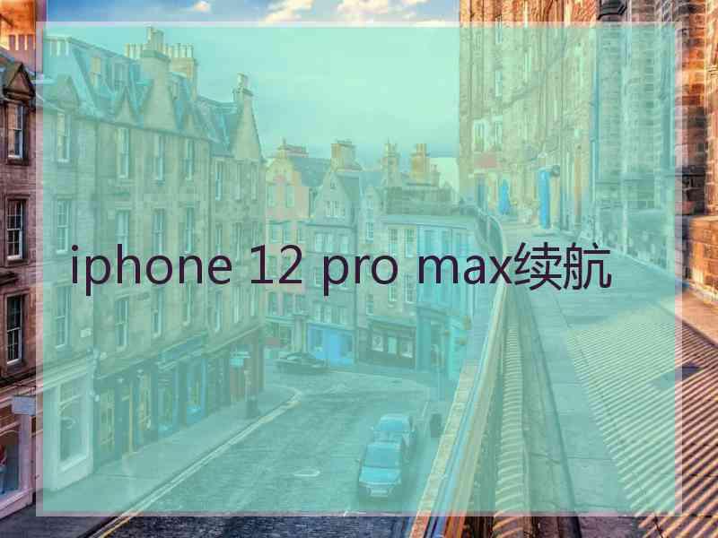 iphone 12 pro max续航