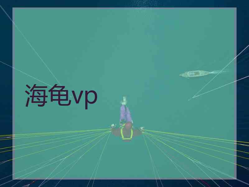 海龟vp