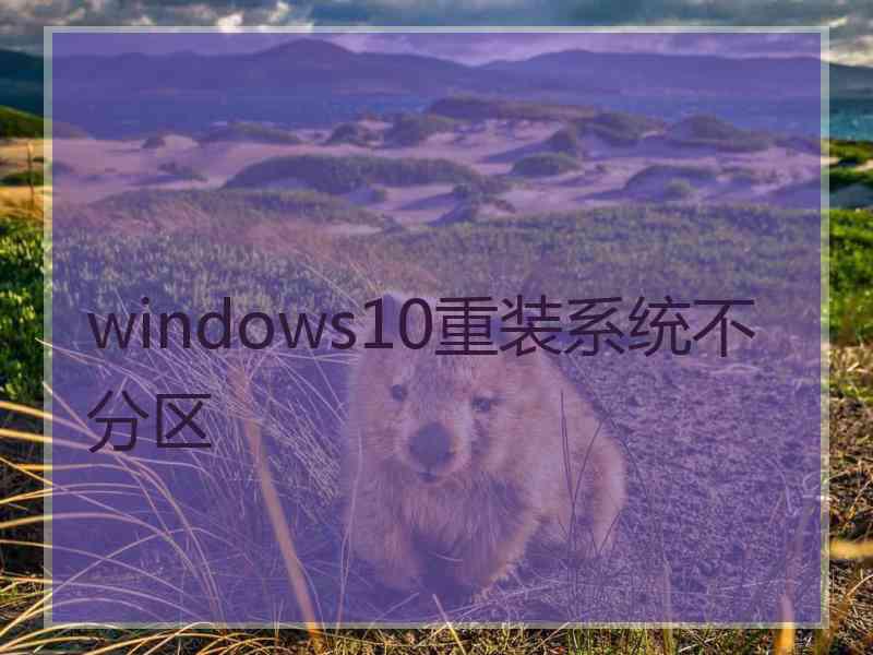 windows10重装系统不分区