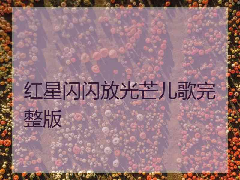 红星闪闪放光芒儿歌完整版