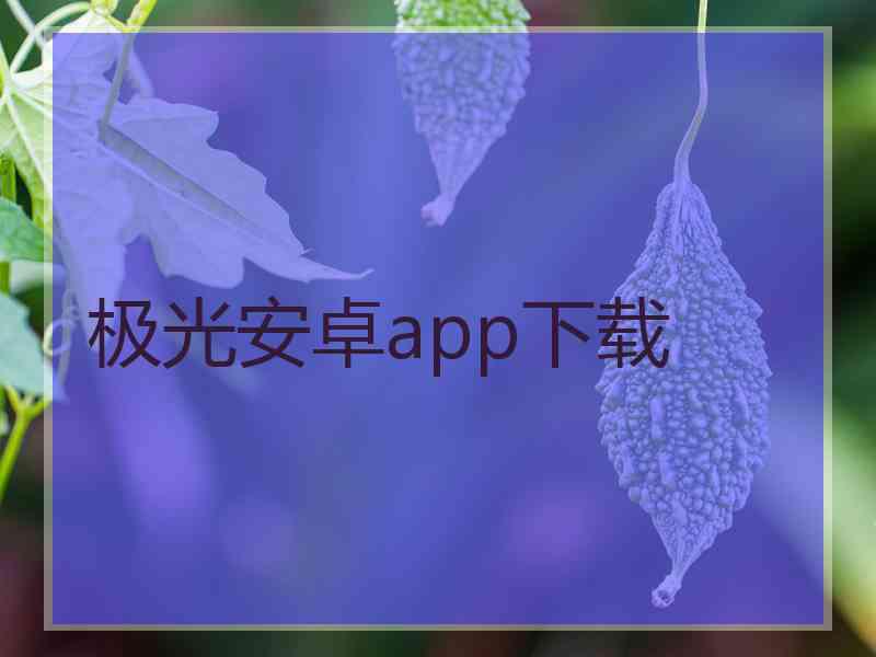 极光安卓app下载