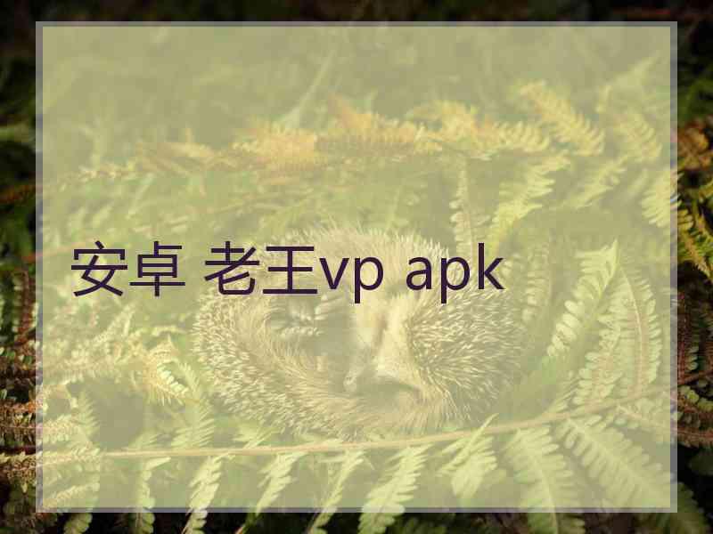 安卓 老王vp apk