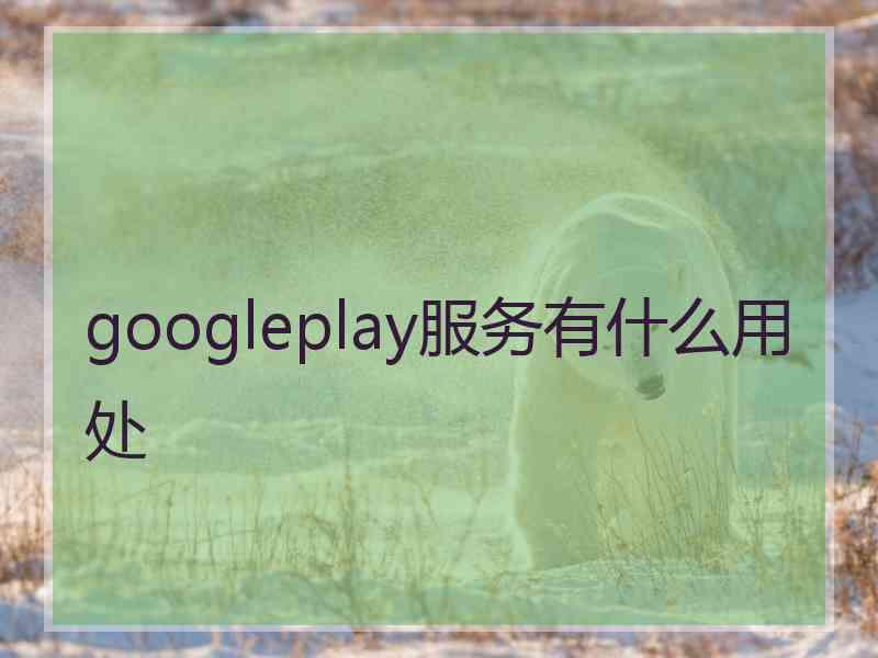 googleplay服务有什么用处