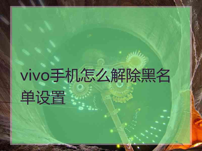 vivo手机怎么解除黑名单设置