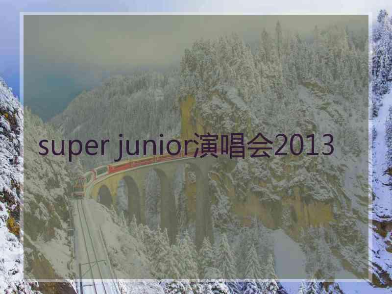 super junior演唱会2013