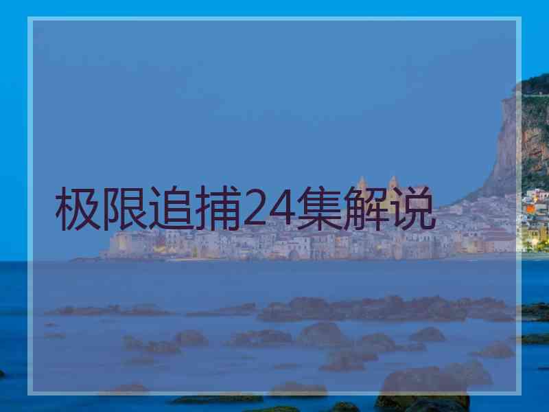 极限追捕24集解说