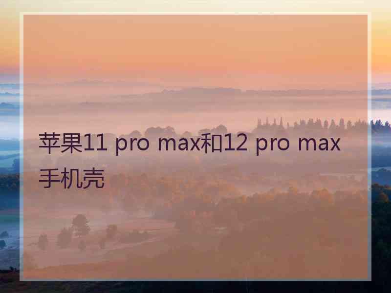 苹果11 pro max和12 pro max手机壳