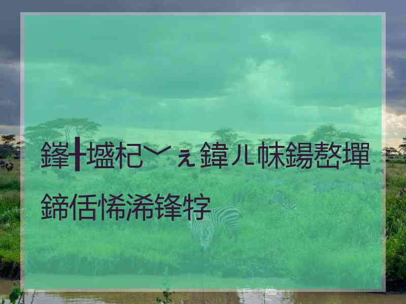 鎽╂墭杞﹀ぇ鍏ㄦ帓鍚嶅墠鍗佸悕浠锋牸