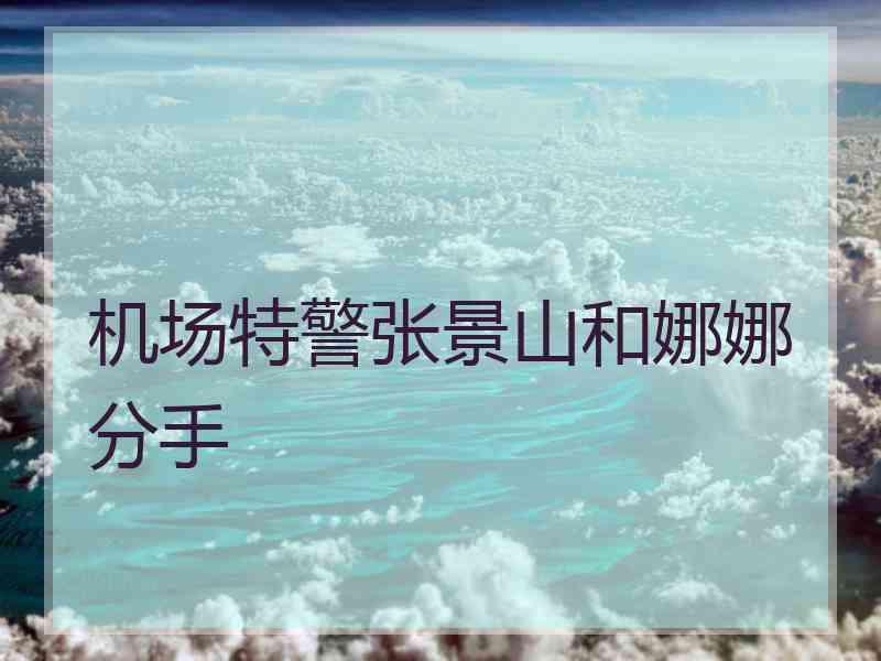 机场特警张景山和娜娜分手