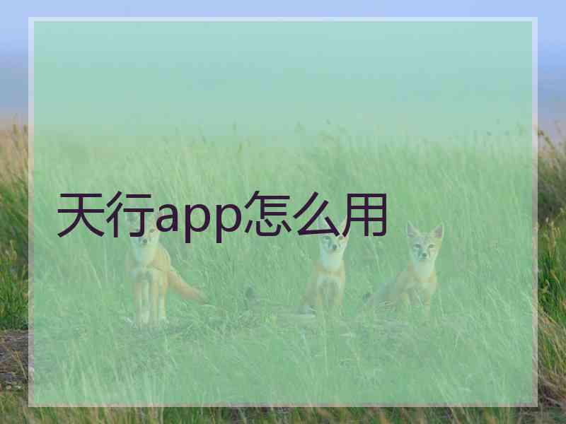 天行app怎么用