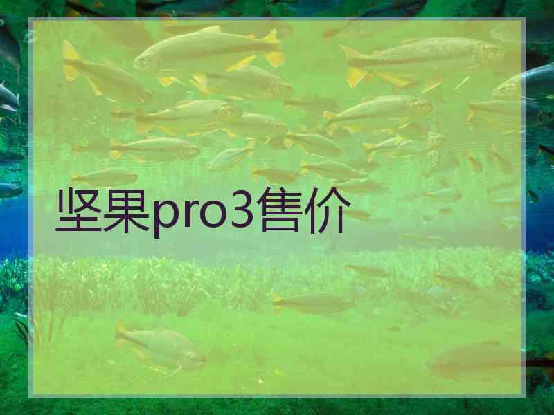 坚果pro3售价