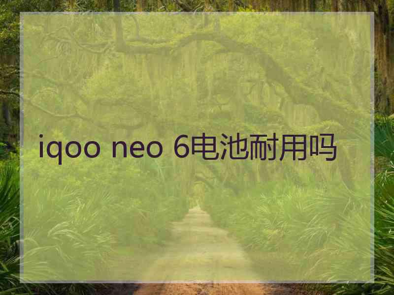 iqoo neo 6电池耐用吗