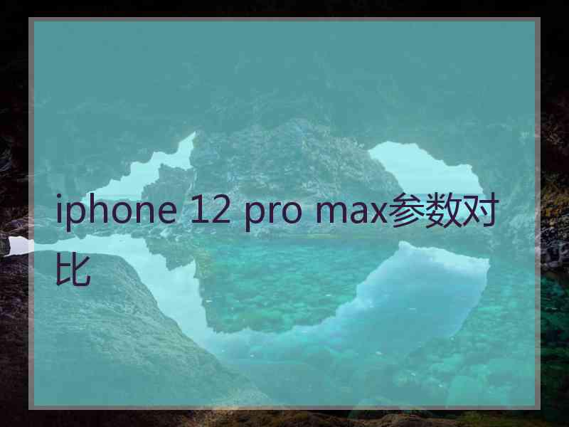 iphone 12 pro max参数对比