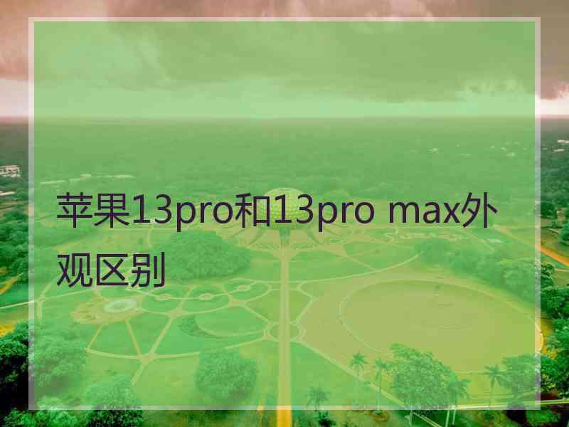 苹果13pro和13pro max外观区别