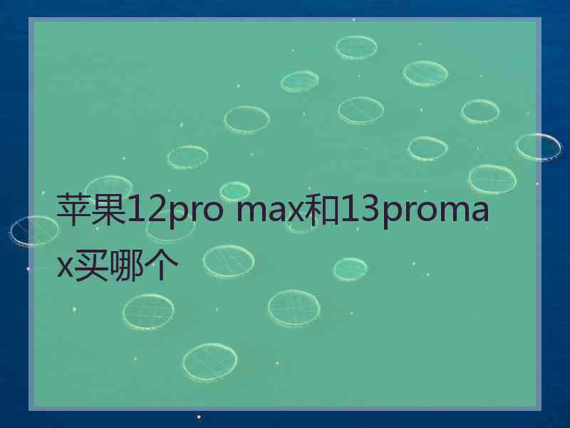 苹果12pro max和13promax买哪个