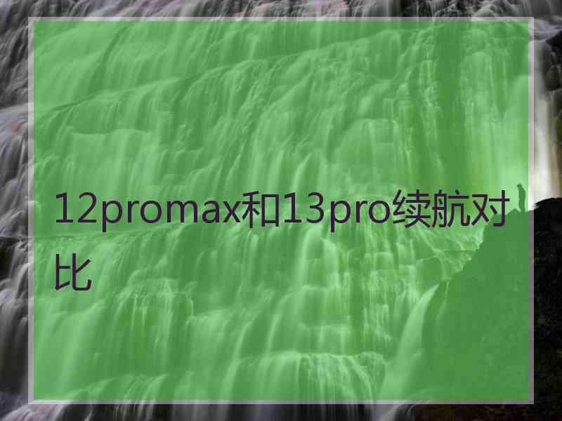 12promax和13pro续航对比