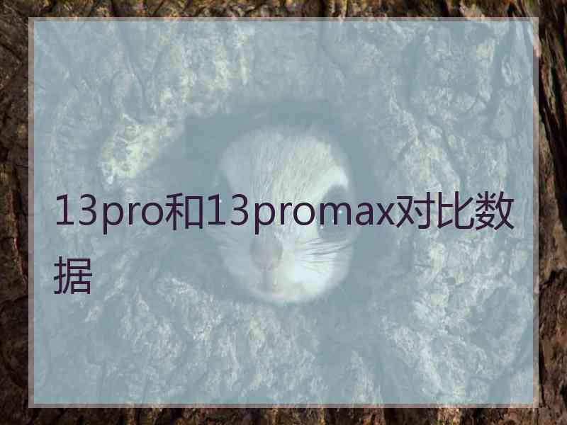 13pro和13promax对比数据