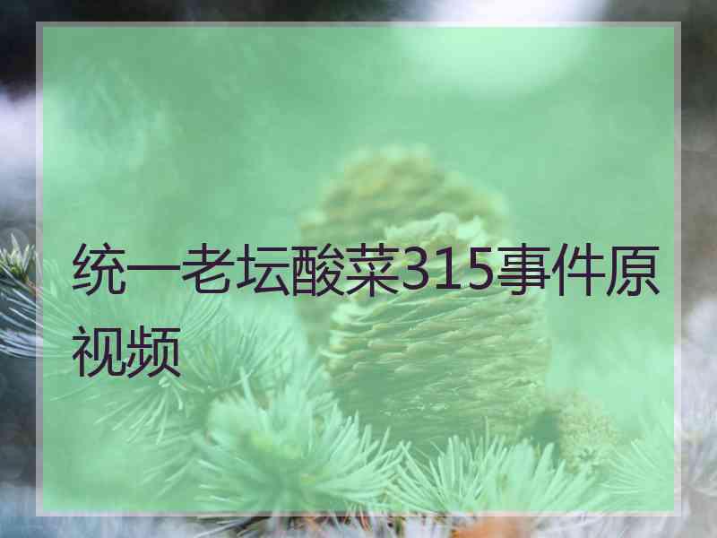 统一老坛酸菜315事件原视频