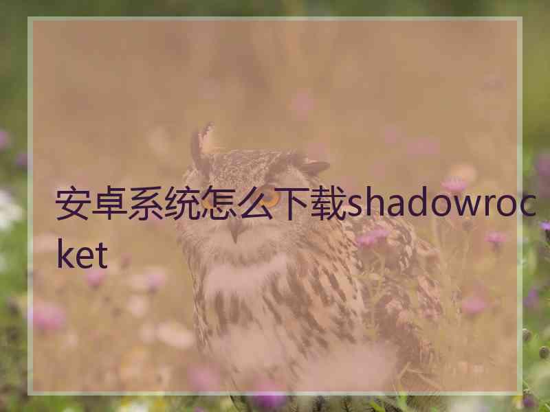 安卓系统怎么下载shadowrocket