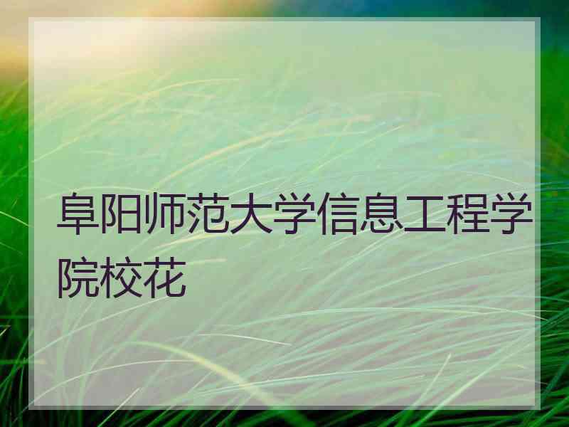 阜阳师范大学信息工程学院校花